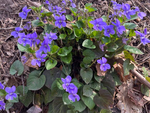 22-04-15 12-50-29 0489